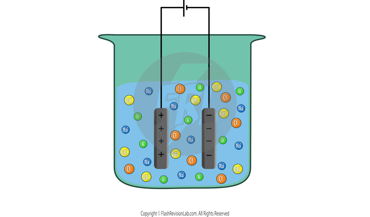 Ions in Solution